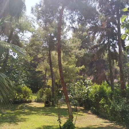 Dimitra Βίλα Παραλία Σάνη