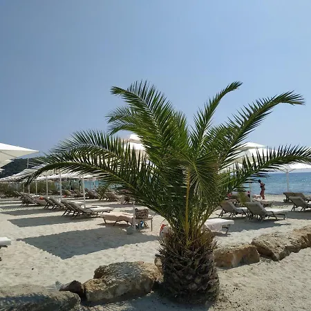 Dimitra Παραλία Σάνη